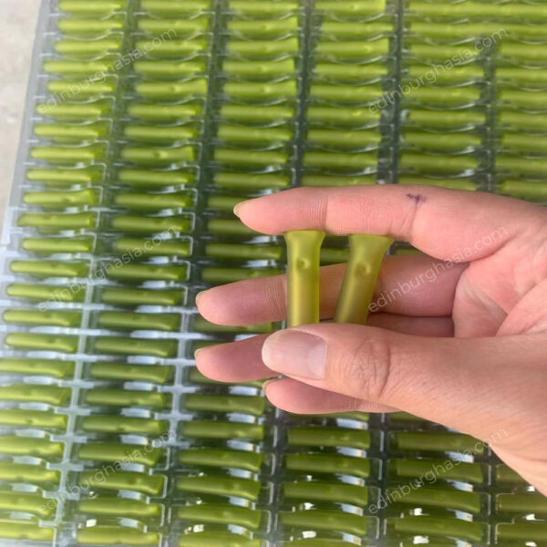 Glass Smoking Tips With Lock Holes - 10mm Diameter Glass Tips
