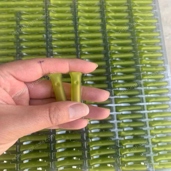 Thick Glass Tips For A Stronger Draw